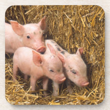 Piglets Dryck Underlägg