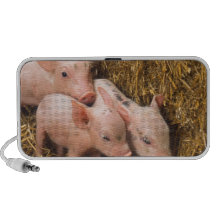Piglets iPod Högtalare