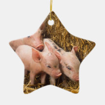 Piglets Juldekoration