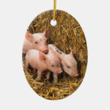 Piglets Julgranskula