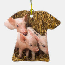 Piglets Julgranskula