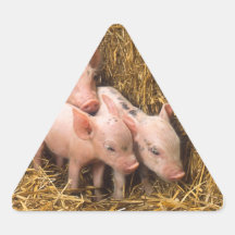 Piglets Klistermärken