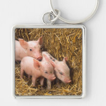 Piglets Nyckelring