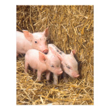 Piglets Personliga Inbjudan