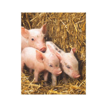 Piglets Sträckt Canvastryck