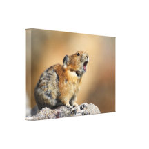 Pika tjuta sträckt kanvastryck