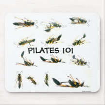PILATES 101 MUS MATTA