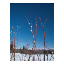 Pilhängeporträtt Fotografi