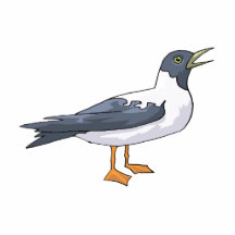 Pili Pigeon.png Acrylic Cut Outs