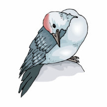 Pilla Pigeon.png Photo Cut Outs