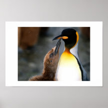 pingvin som är älskvärd posters