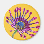 Pink Explosion Flower - Magnet Kühlschrankmagnete