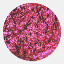 Pinks Runda Klistermärken