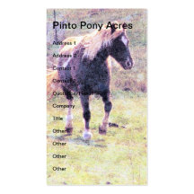 Pintoponny Visitkort Mall