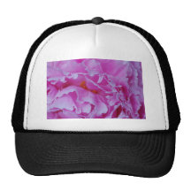 Pioner Baseball Hat