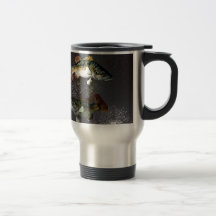 Pisces Zodiacsymbol Kaffe Muggar
