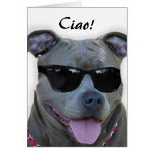 Pitbull hälsningkort
