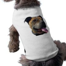 Pitbull hund tröja