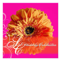 PixDezines orange Gerbera/diy rosa bakgrund Kort För Inbjudningar