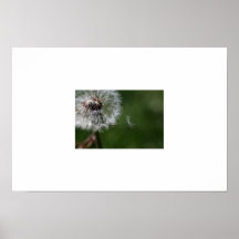 Planta Print