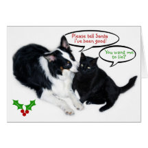 Please berättar Santa! Kort