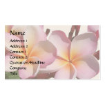 Plumeria blommar visitkorten