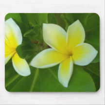Plumeria Mousepad Mus Mattor