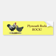 Plymouth sten:  Ritat silver parar Bildekal
