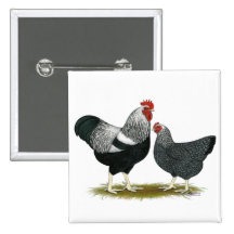 Plymouth sten:  Ritat silver parar Nål