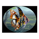 "Poissons Volants: Étude mig" vykort vykort