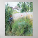 Pojke i ängen - Sommerbilder Posters