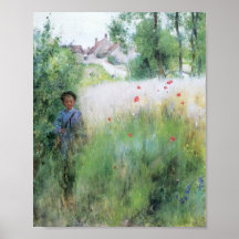 Pojke i ängen - Sommerbilder Posters