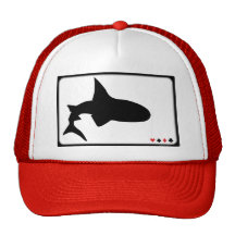 poker gorro