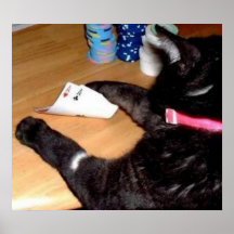 POKERKATTEN HAR DET FICK- ÖVERDÄNGAREFOTOET vid Te Print