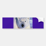 Polar björn bildekaler