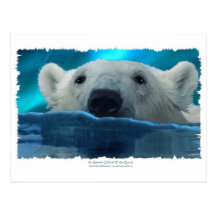POLAR BJÖRN FÖR SIMNING VYKORT