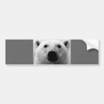 Polar björn för svart & för vit bildekaler