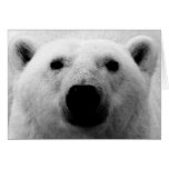 Polar björn för svart & för vit hälsnings kort