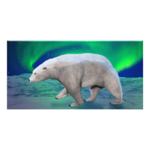 Polar björn foto kort