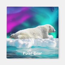 Polar björn, isFloe & magnet för auroradjurlivkons Kylskåps Magneter