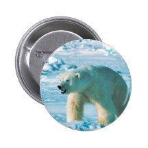 Polar björn knapp