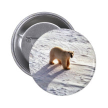 Polar björn knapp med nål