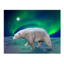 Polar björn vykort