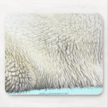POLAR BJÖRNPÄLS, JORDDAG Mousepads Musmattor