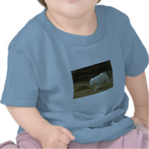 Polar varg tshirts