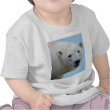 Polarbjörnar profilerar t shirt