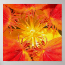 Pollen Print