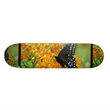 Pollinera fjärilsskateboarden