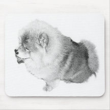 POM MUSMATTOR