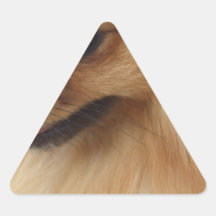 Pomeranian älskare triangle stickers